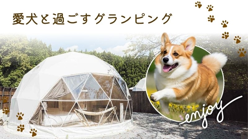 愛犬とグランピング